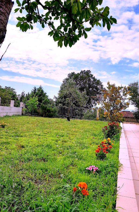 Villa Markic ดริเวนิก ภายนอก รูปภาพ